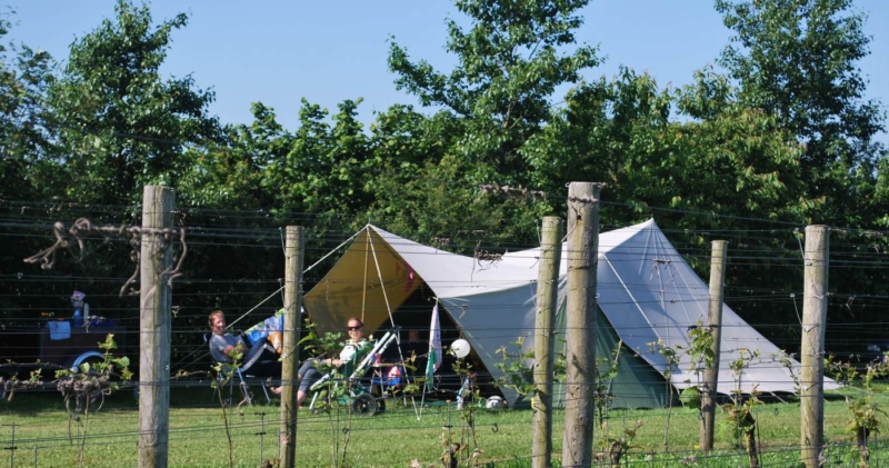 Camping Gelderland op wijngaard Erve Wisselink in Eibergen (Achterhoek)