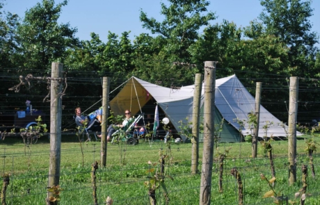 Camping in Eibergen in de Achterhoek - Charme Camping op Wijndomein Erve Wisselink