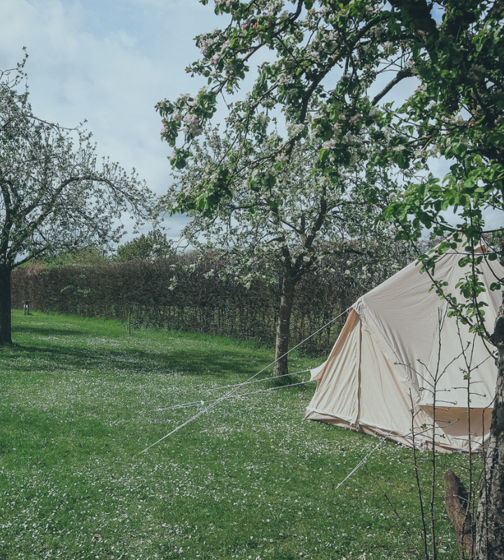 Camping rustig natuur Achterhoek