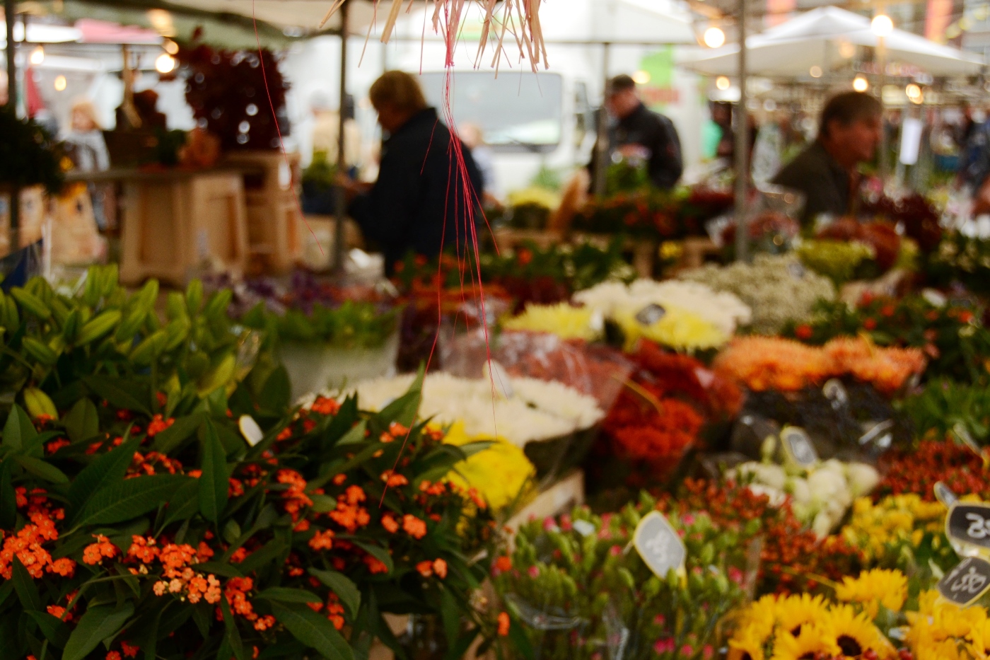 Markt Eibergen Achterhoek